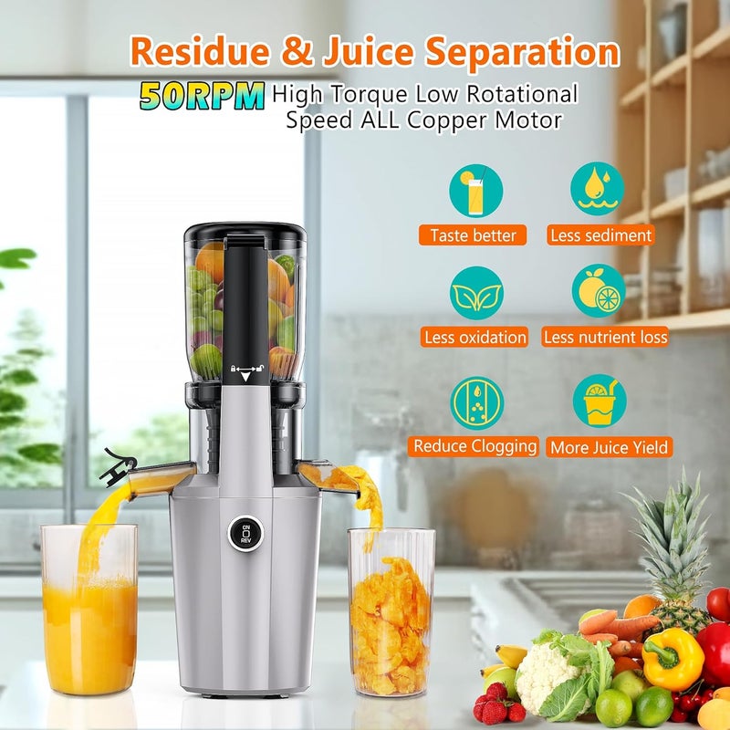 shengkefty Cold Press Juicer Machine, Slow Masticating Juicer with 96% Yield, Wide Chute for Whole Fruits, Ultra Quiet (<60dB) for Leafy Greens & Celery (Silvery) - Image 5